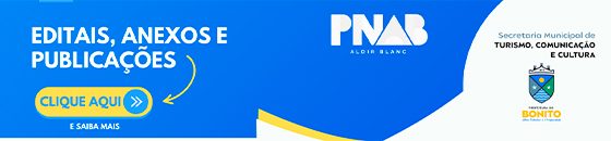 Banner com link para Editais e Anexos da PNAB Fase 2